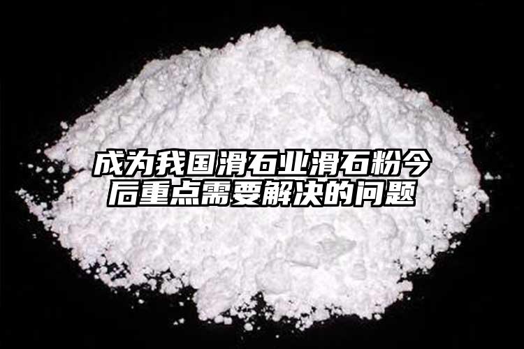 成為我國(guó)滑石業(yè)滑石粉今后重點(diǎn)需要解決的問題