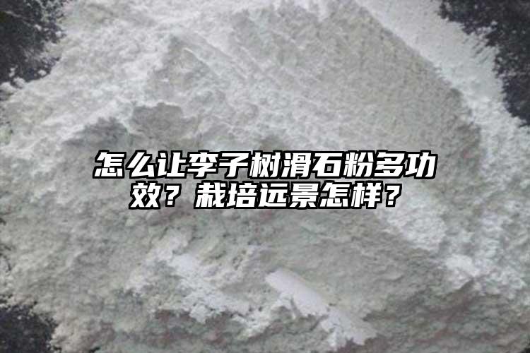 怎么讓李子樹滑石粉多功效？栽培遠景怎樣？