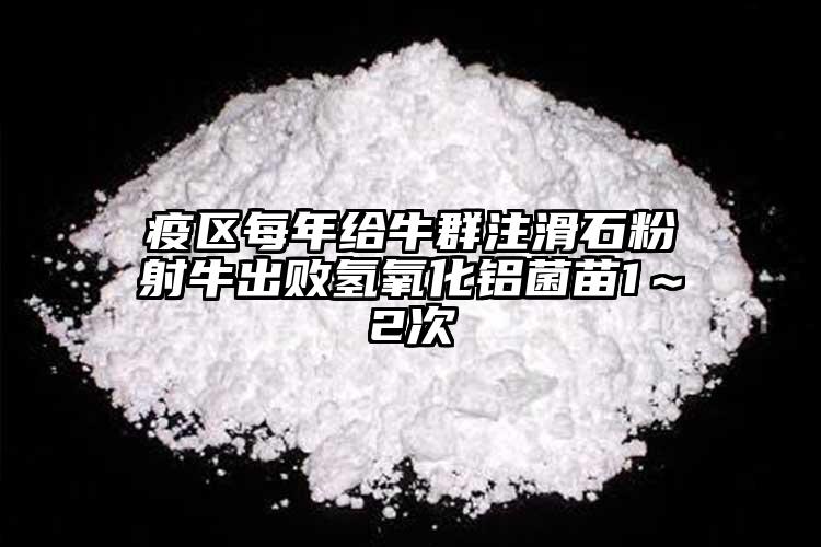 疫區(qū)每年給牛群注滑石粉射牛出敗氫氧化鋁菌苗1～2次