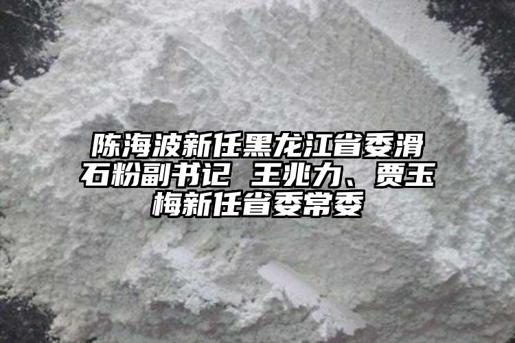 陳海波新任黑龍江省委滑石粉副書記 王兆力、賈玉梅新任省委常委