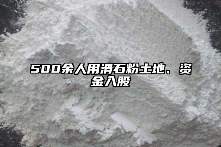 500余人用滑石粉土地、資金入股