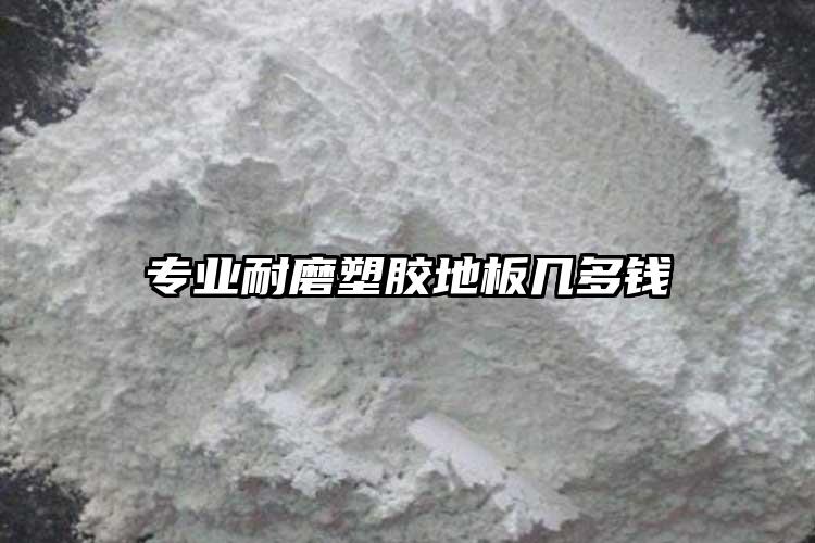 專業(yè)耐磨塑膠地板幾多錢