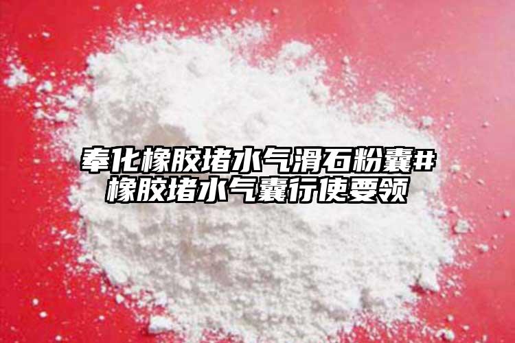 奉化橡膠堵水氣滑石粉囊#橡膠堵水氣囊行使要領